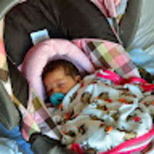 Meet your Posher, Josh